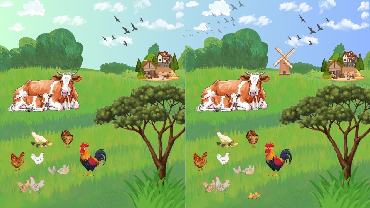 Тематическое фото ИА EAOMedia