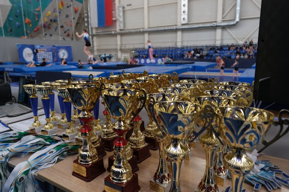 Батутисты Хабаровского края подтвердили лидерство на чемпионате и первенстве ДФО Региональный центр развития спорта