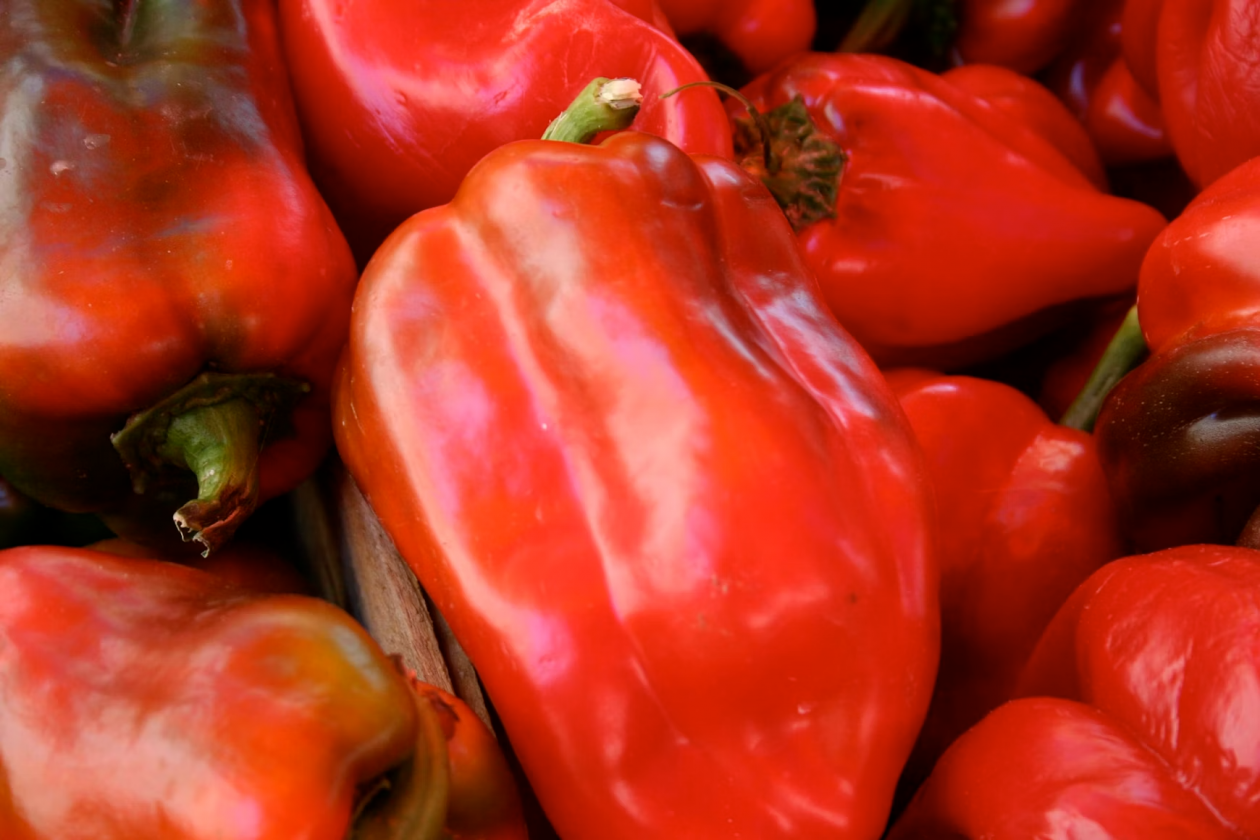 Тематическое фото unsplash.com