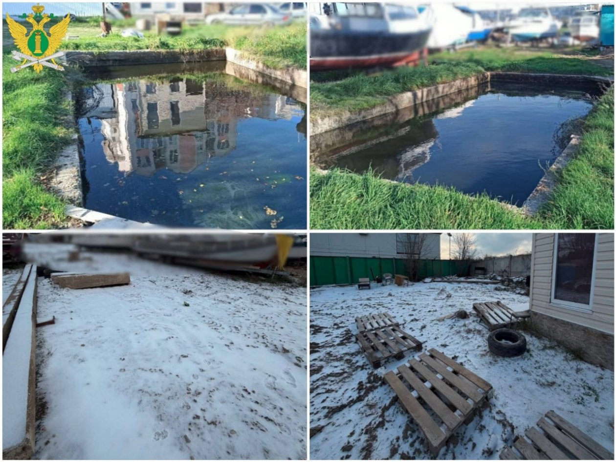 Коллаж из фото ГУФССП по СК