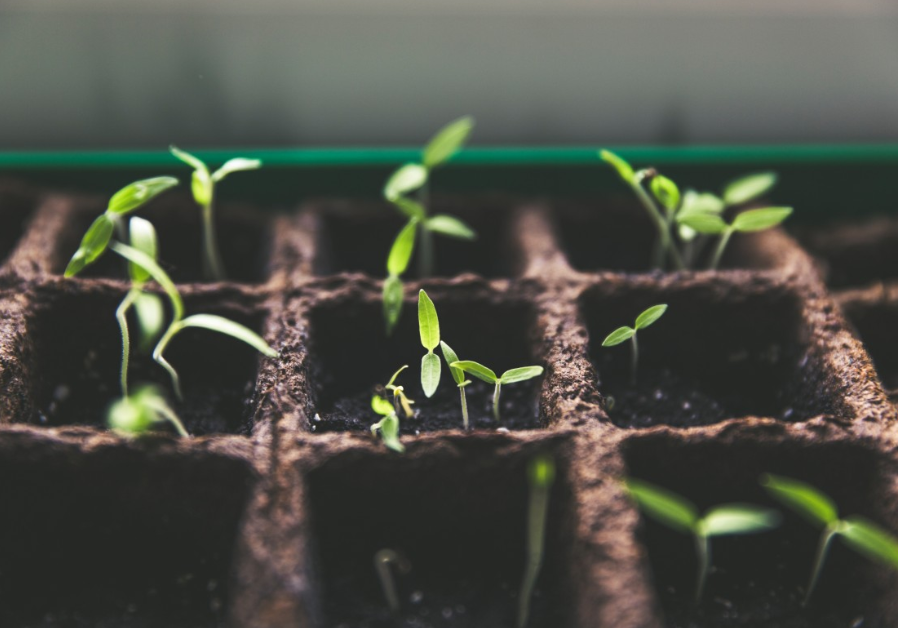 Тематическое фото Pxhere (18+).