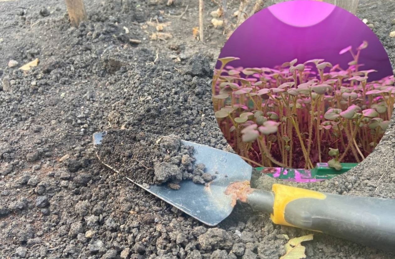 3 компонента в торф - на выходе идеальный грунт для любой рассады - рыхлый и питательный ИА KrasnodarMedia