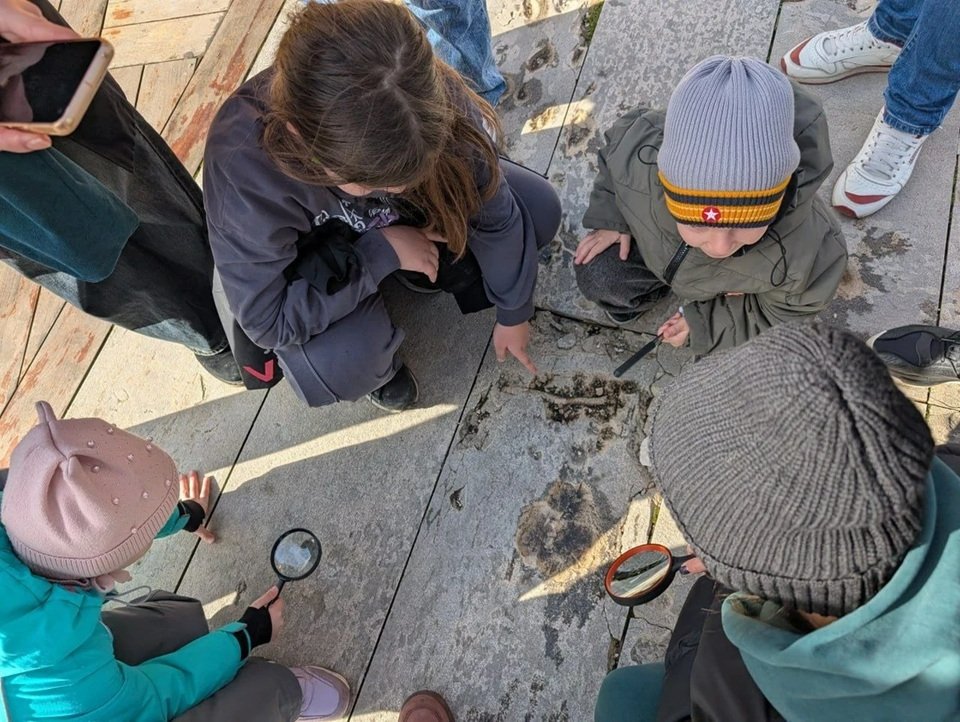В краснодарском парке Галицкого проводят экскурсии в прошлое Земли t.me/rgo_krasnodar