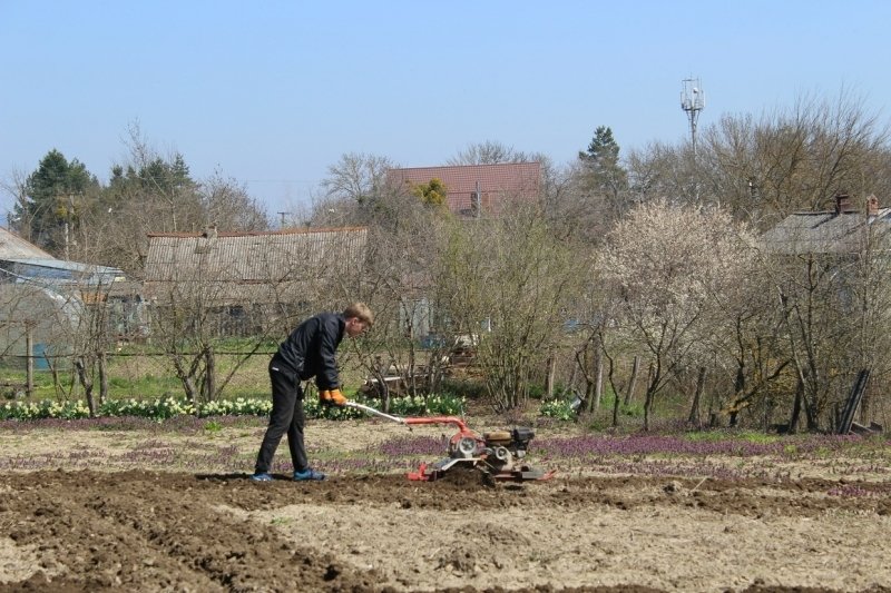 Земельный участок на Кубани под стройку дома вошел в ТОП самых маленьких в РФ Людмила Лата