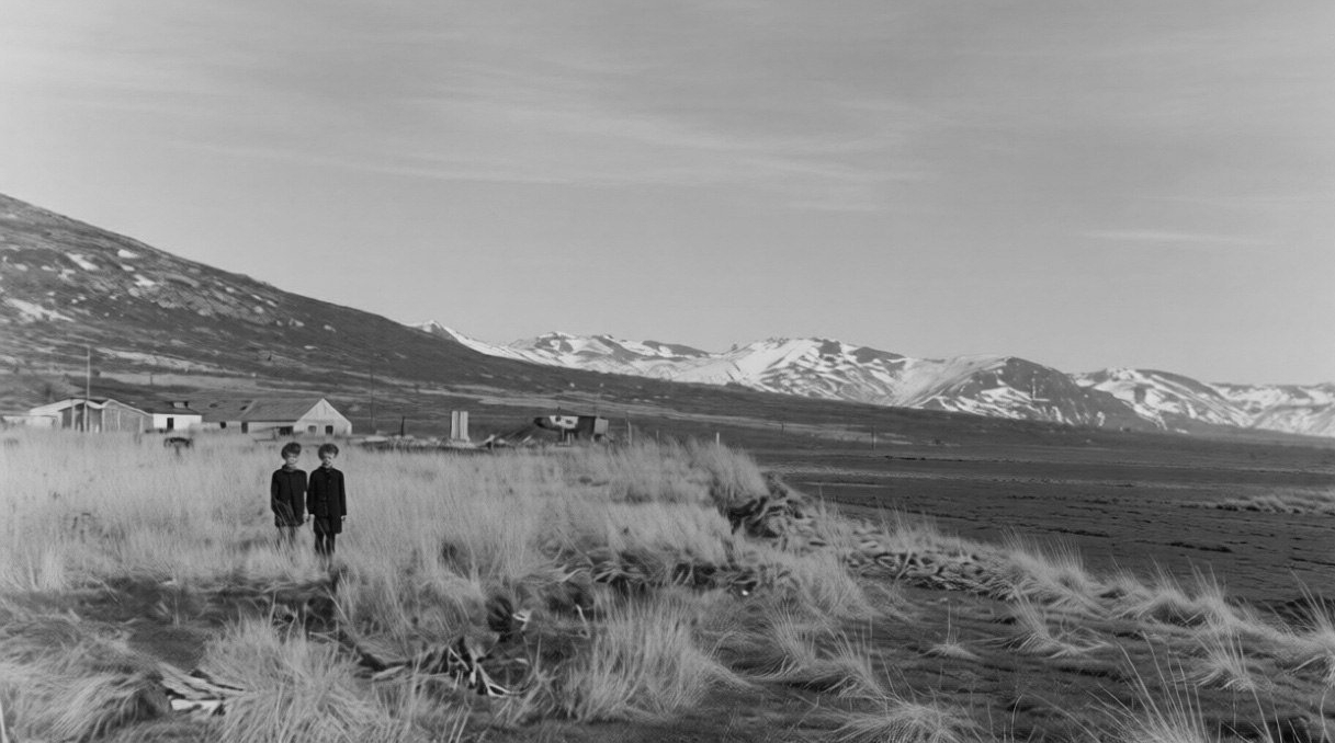 из свободных источников