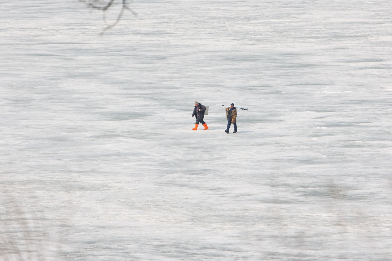 Тематическое фото Евгений Кулешов, ИА PrimaMedia