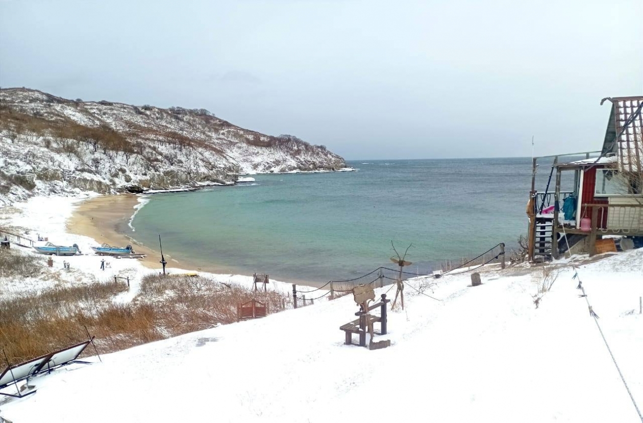 Новые для России виды бабочек обнаружены на самом южном острове страны  предоставлено пресс-службой ФГБУ &quotЗемля леопарда&quot