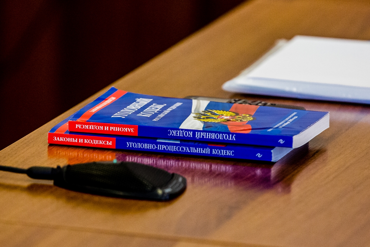 Многодетная мать убила кружкой собутыльника в Якутии Мария Бородина, ИА PrimaMedia