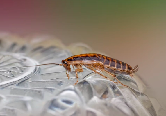 Тематическое фото Unsplash.com (18+)