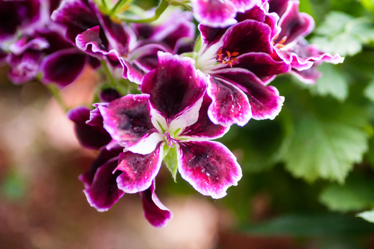 Тематическое фото Изображение сгенерировано ИИ Qwenlm.a (18+)