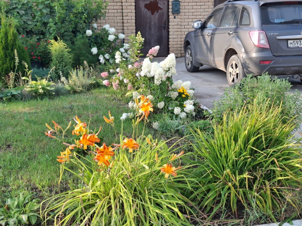 Целину превратят в тропический оазис: 13 неприхотливых эффектных цветов - мечта любого садовода ИА StavropolMedia