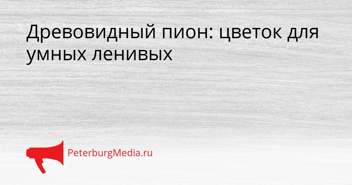 Древовидный пион: цветок для умных ленивых Сгенерировано