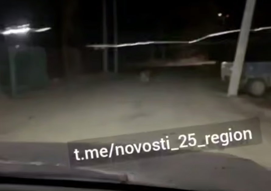 Тематическое фото Tg-канал &quotnovosti_25_region&quot (18+)