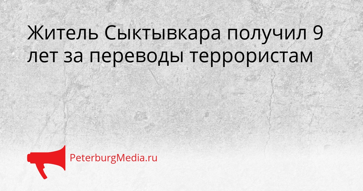 Житель Сыктывкара получил 9 лет за переводы террористам Сгенерировано