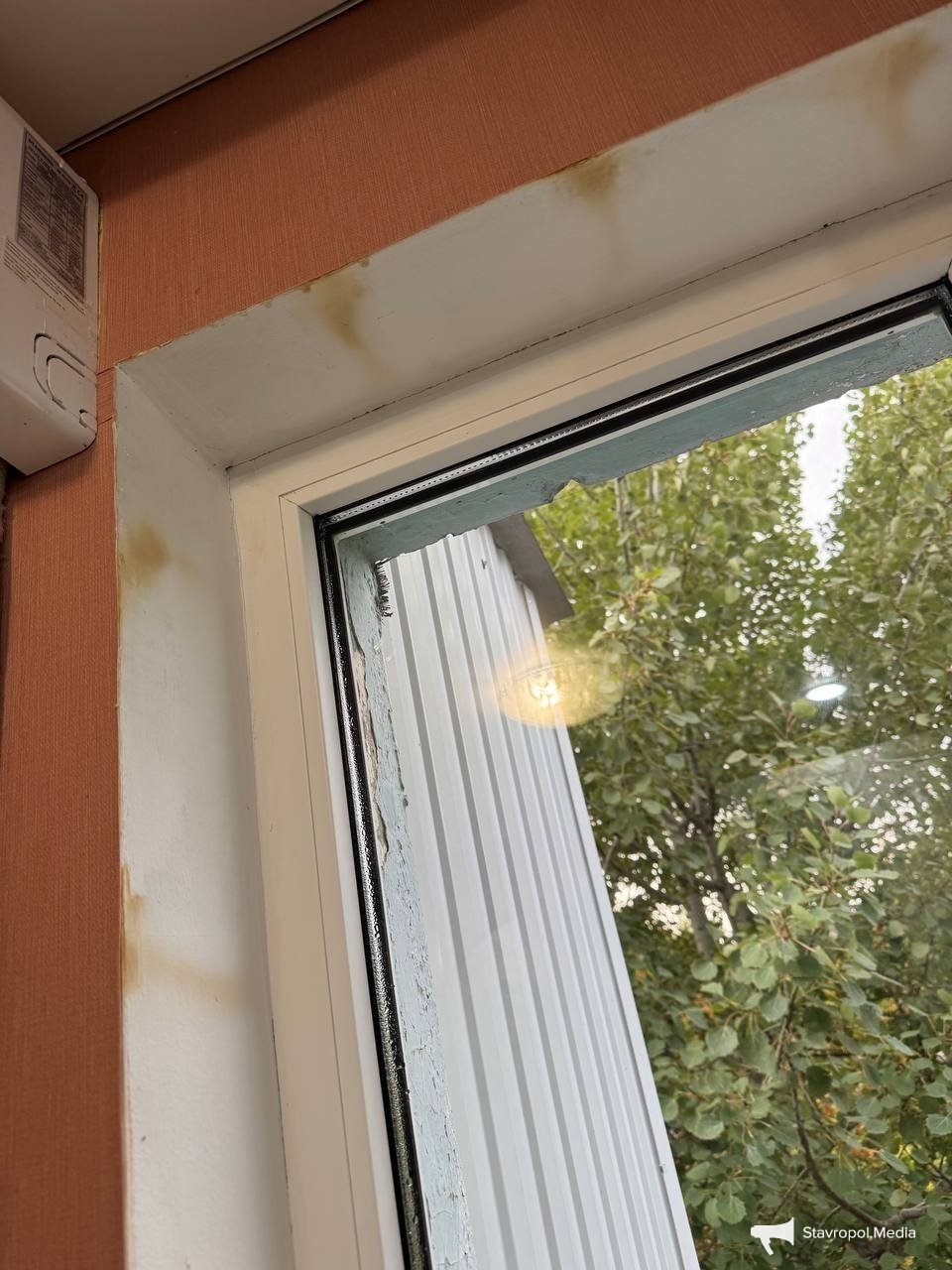 Из личного архива Киры