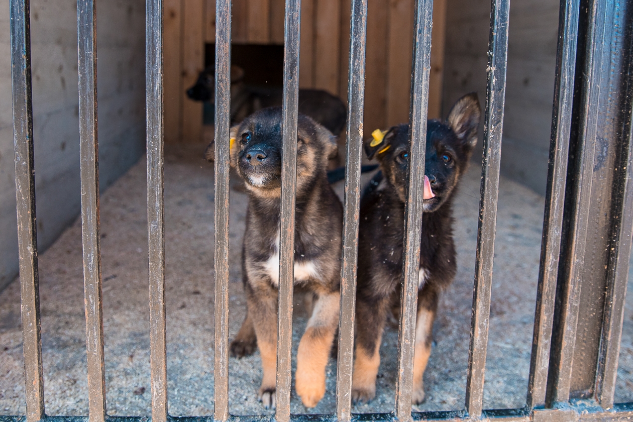 Тематическое фото ИА OmskMedia