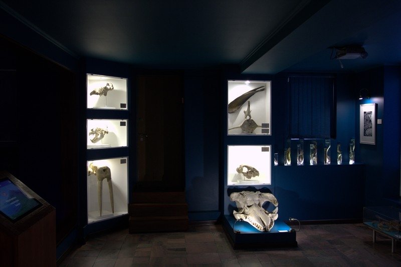 Камчатский объединенный музей