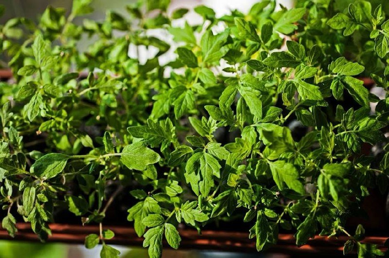 Тематическое фото unsplash.com