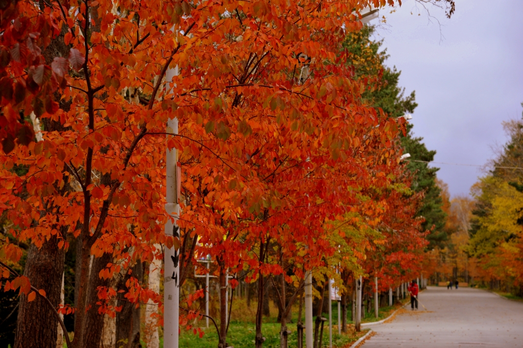 Porno zgvaltuvannya gri z naslm BDSM anal jinsiy aloqa bir necha erkaklar bilan katta dicks va bir slut