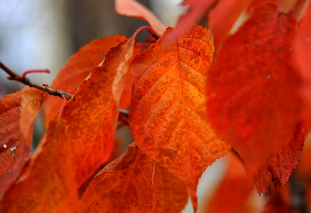 Jinsiy aloqa samolyotda, liftda va hokazo. Mening jinsiy dunyom onlayn