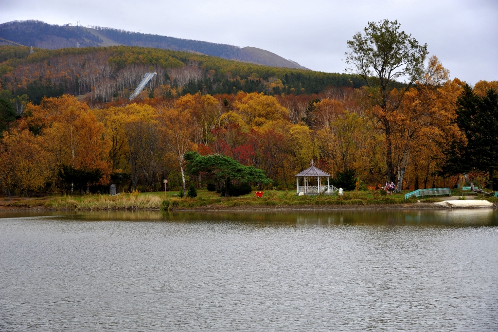 Сакура осенью, Фото с места события собственное