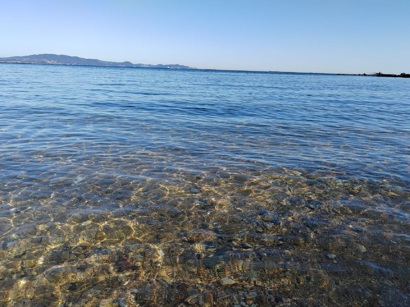 В Приморье запрещена незаконная рыбоводная деятельность в пределах Морского заповедника Пресс-служба Амурской бассейновой природоохранной прокуратуры