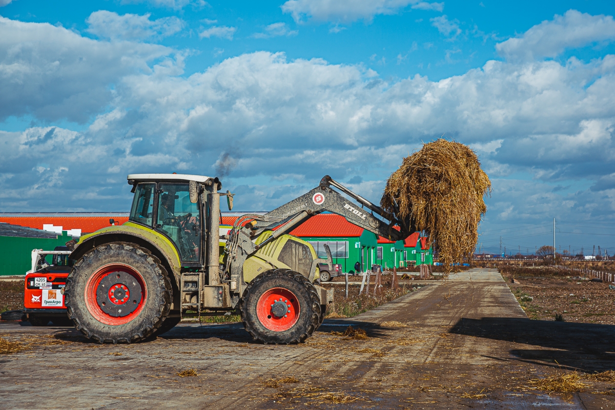 ферма, сельское хозяйство,  сельхоз, сено, сельскохозяйственная техника, трактор Мария Смитюк, ИА PrimaMedia