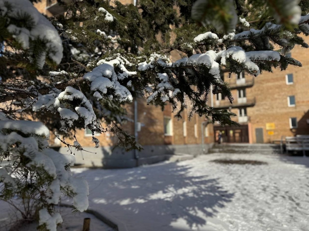 Тематическая фото Марина Кудрявцева, ИА UssurMedia.