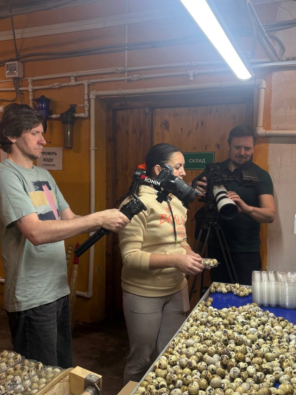 Фермеры из Бурятии показали перепелиную ферму на &quotРоссии 24&quot Минсельхоз Бурятии
