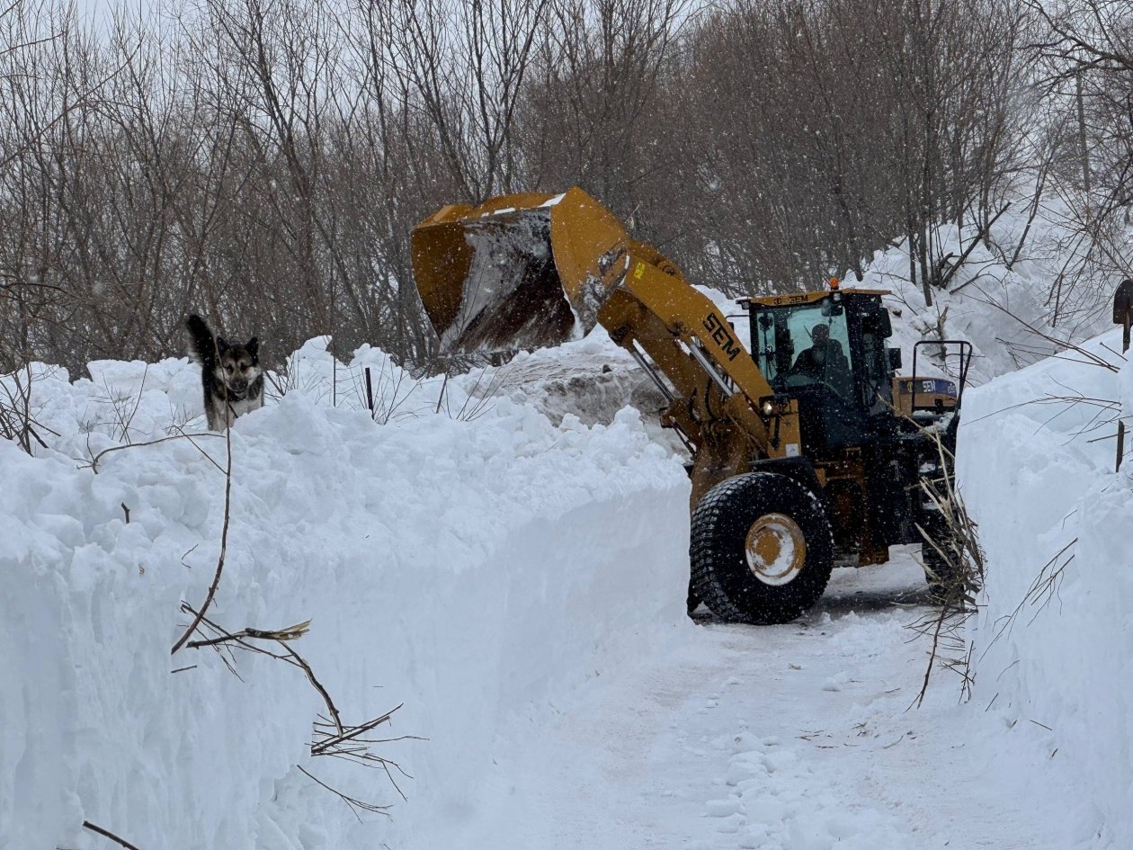 Фото с места событий Правительство Камчатского края