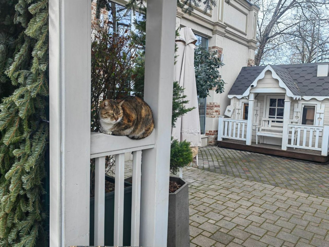 Температура воздуха в Краснодарском крае рухнет на 10 градусов Светлана Юдина