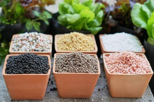 Тематическое фото Автор канала