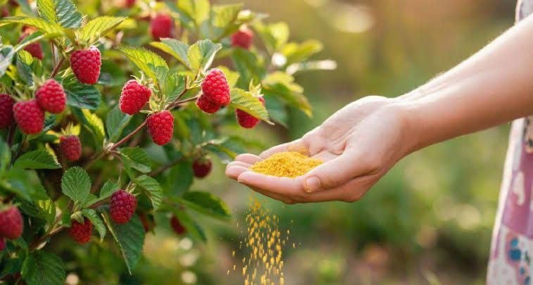 Тематическое фото Автор канала