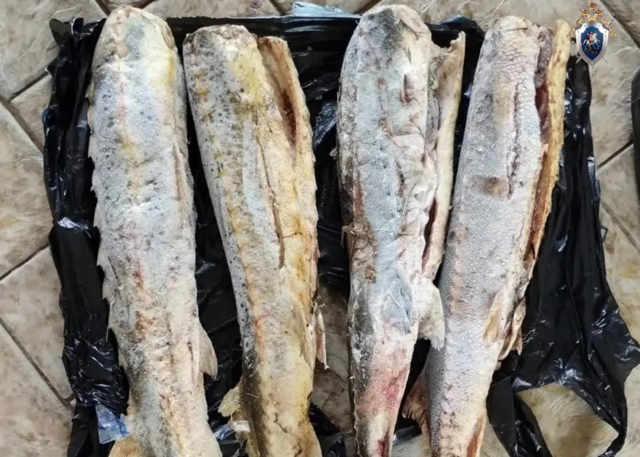 СУ СК Ставрополья