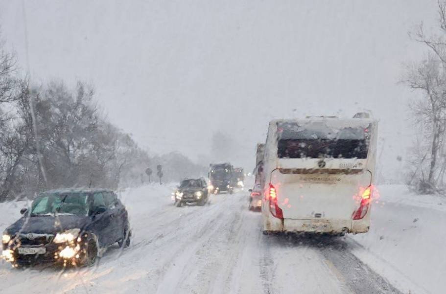 автобусы сайта министерства транспорта и дорожной инфраструктуры Московской области