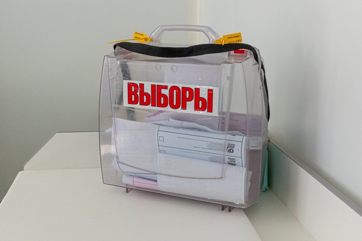 выборы, голосование Мария Смитюк, ИА PrimaMedia.ru