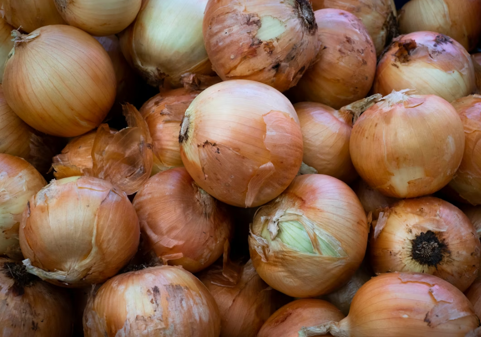 Тематическое фото Unsplash.com (18+)