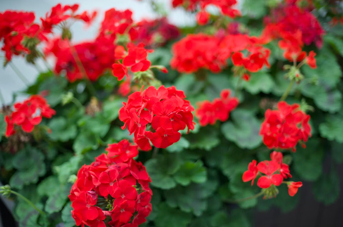 Тематическое фото unsplash (18+)