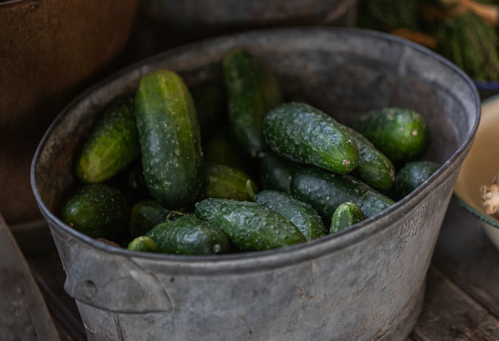 Тематическое фото Unsplash.com (18+)