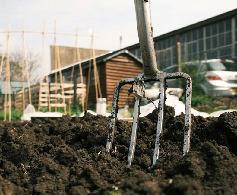 Тематическое фото Unsplash.com (18+)