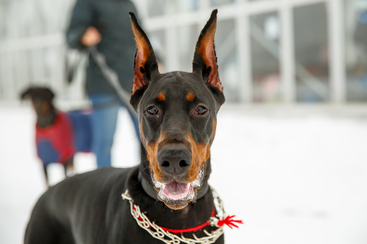 Тематическое фото ИА PrimaMedia