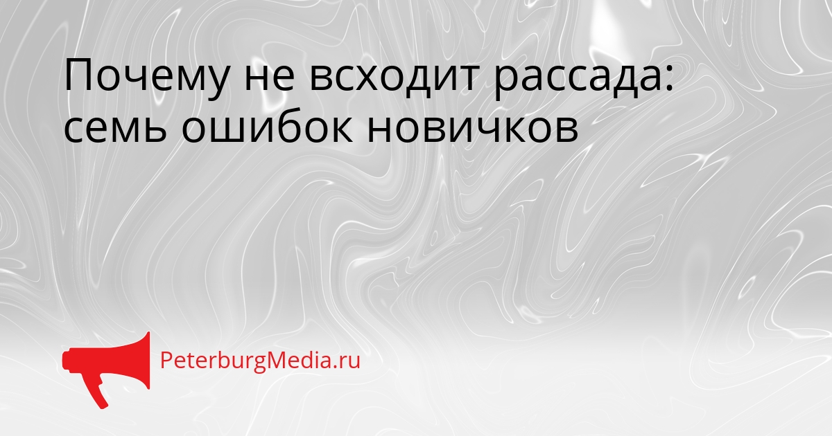 Почему не всходит рассада: семь ошибок новичков Сгенерировано