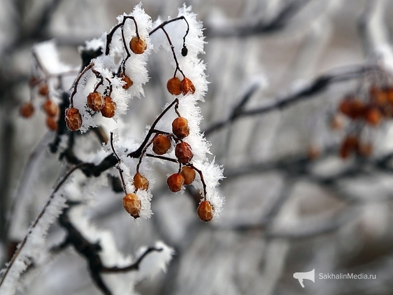 Тематическое фото Мария Оленникова, ИА IrkutskMedia