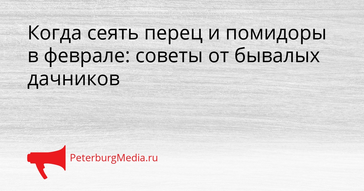 Когда сеять перец и помидоры в феврале: советы от бывалых дачников Сгенерировано
