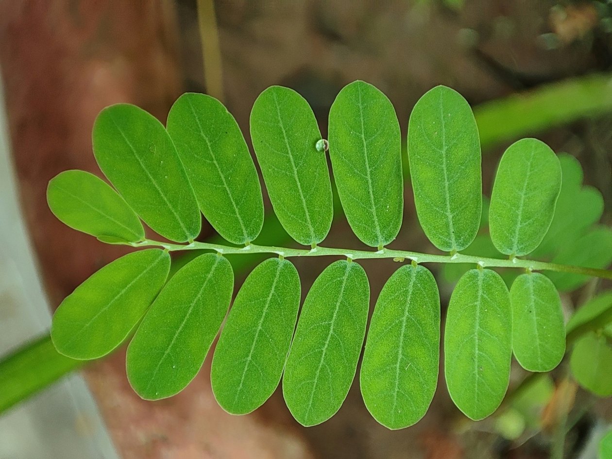 Тематическое фото unsplash.com (18+)