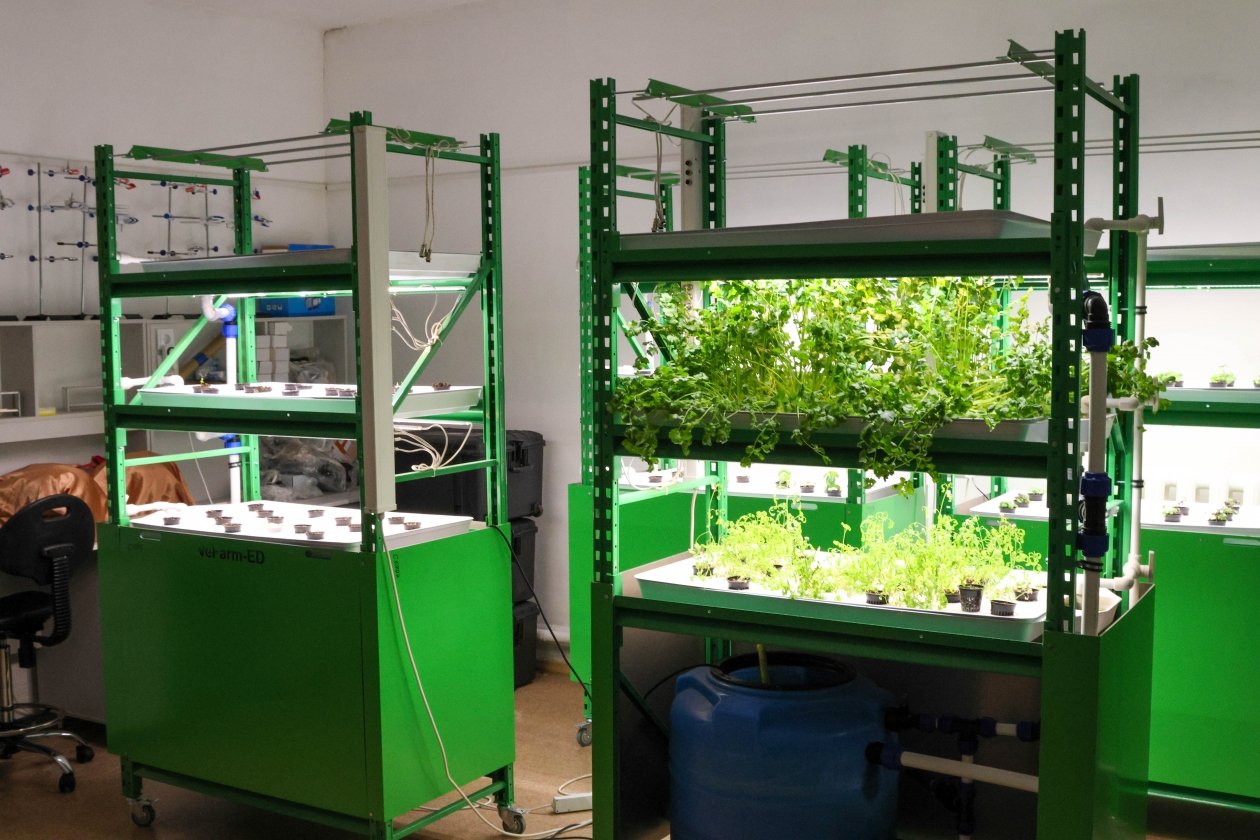 Тематическое фото ЕР ЕАО