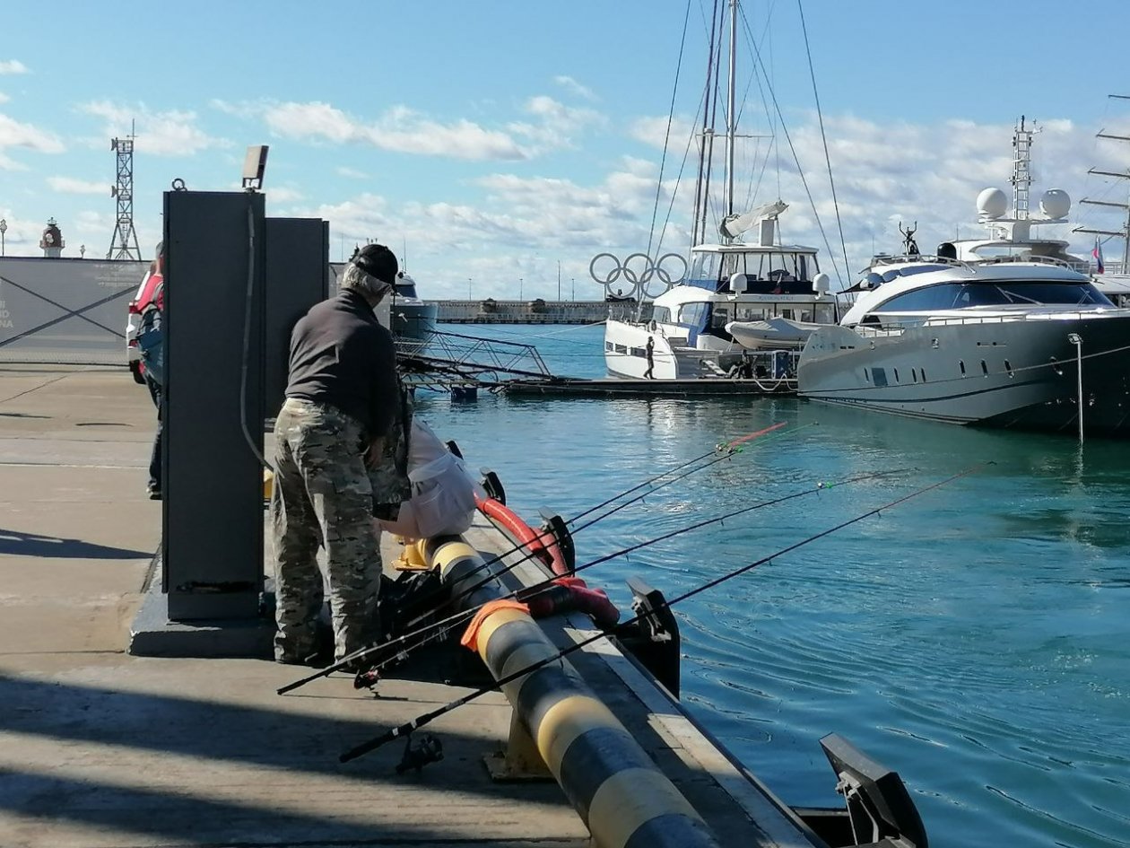 Сочи обошел Краснодар в рейтинге мест для путешествий в одиночку Карина Подкина