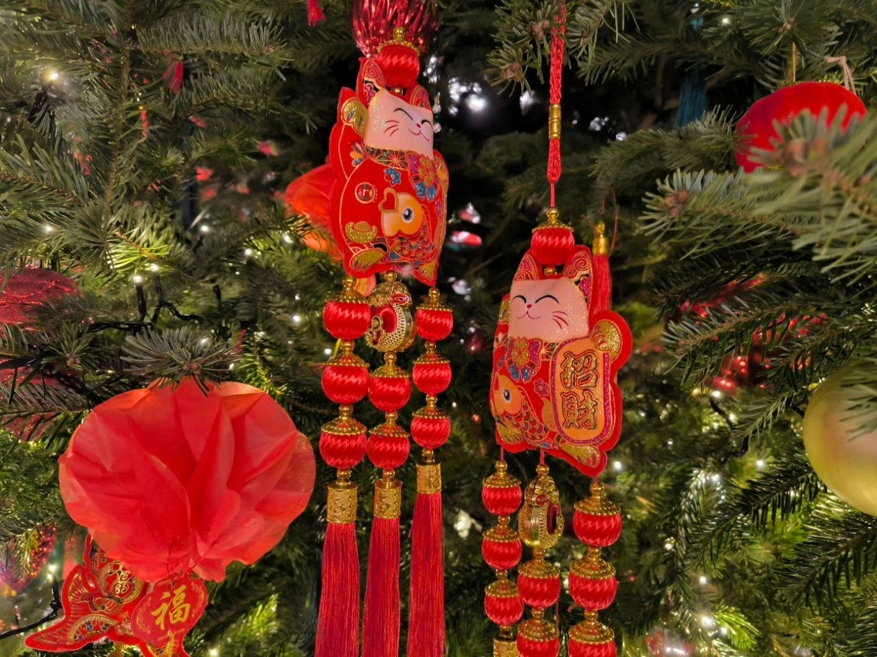 Китайский Новый год Елена Поддубная ИА KamchatkaMedia