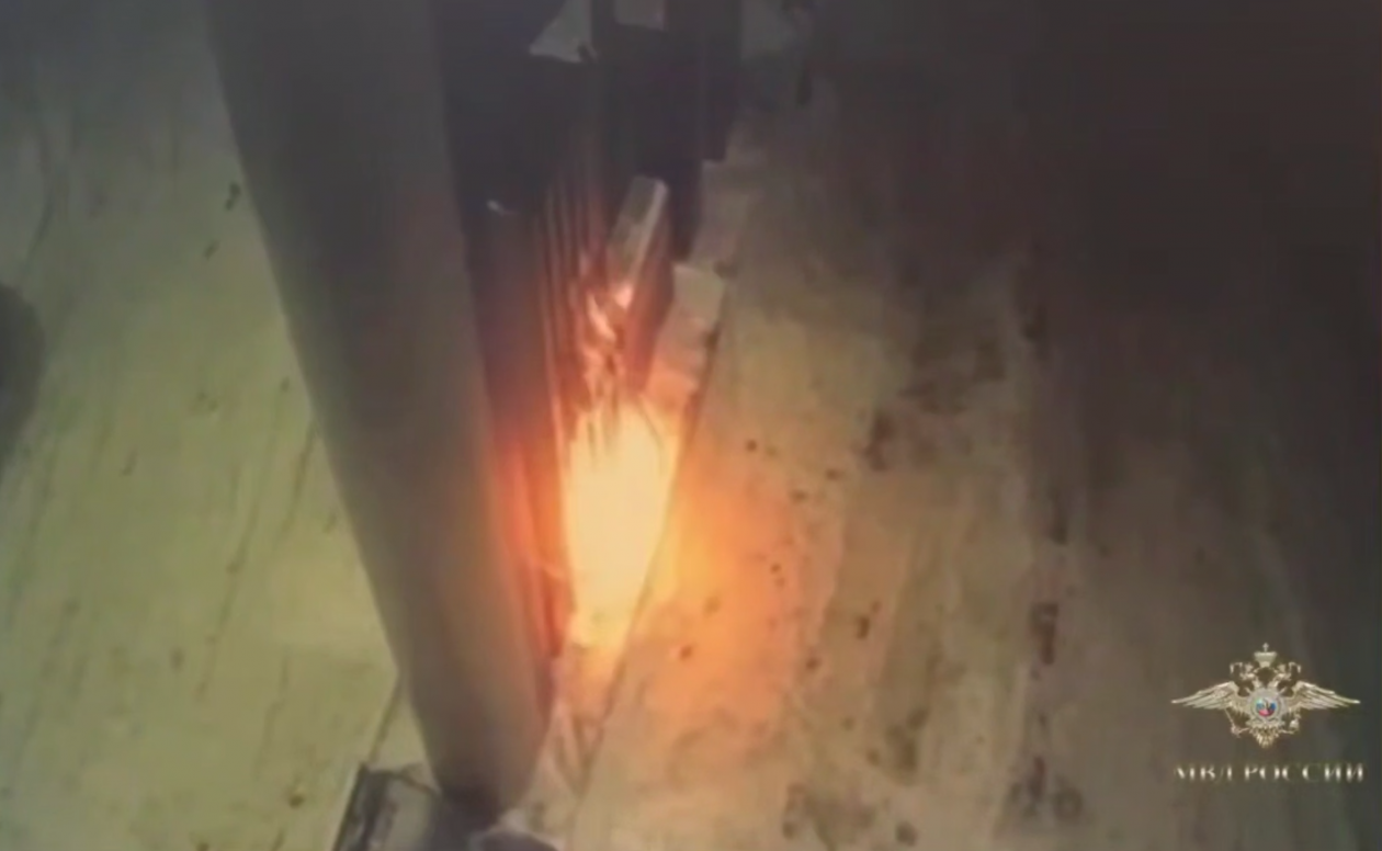 Тематическое фото MAX / Официальный представитель МВД России Ирина Волк