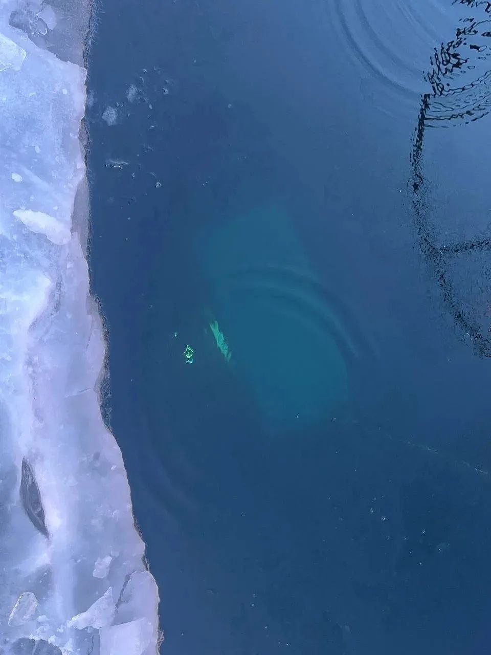 Установлены личности пяти погибших в провалившемся под лед на Байкале УАЗе Пресс-служба СУ СК РФ по региону